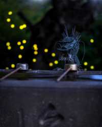 Fun fact: Fireflies in Japan