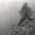 maxriverDream