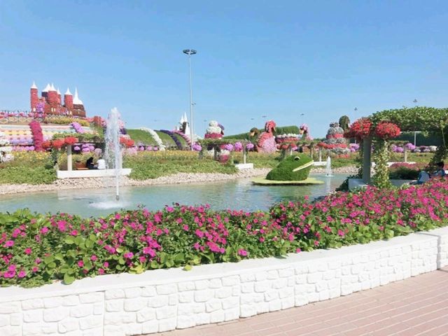 A Floral Oasis of Wonders! 🇦🇪