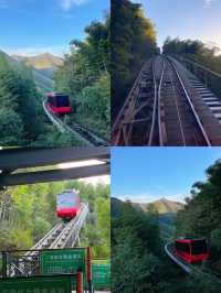 南山竹海賞秋乘網紅火車看大熊貓