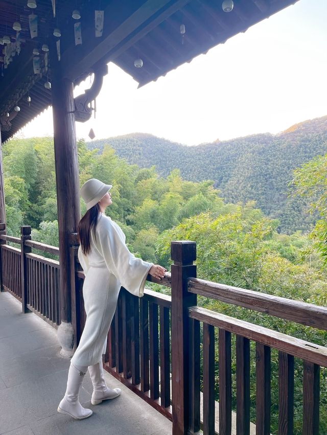 南山竹海賞秋乘網紅火車看大熊貓