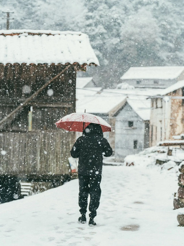 我喜歡下雪天，更喜歡帶我看雪的你