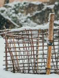 我喜歡下雪天，更喜歡帶我看雪的你