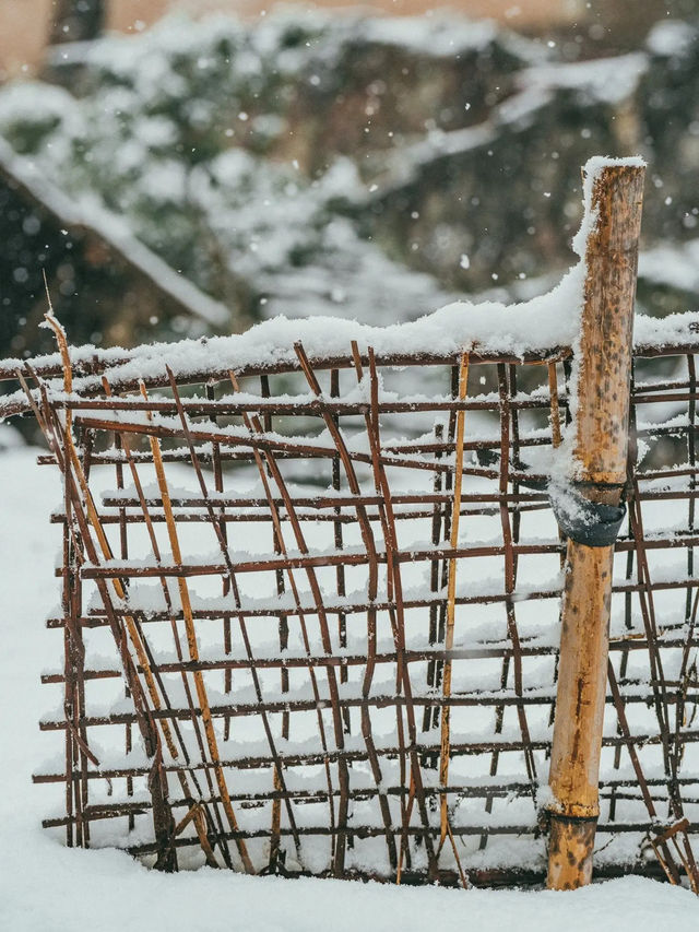 我喜歡下雪天，更喜歡帶我看雪的你