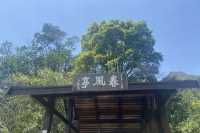 八仙嶺x黃嶺x屏風山．樓梯大挑戰