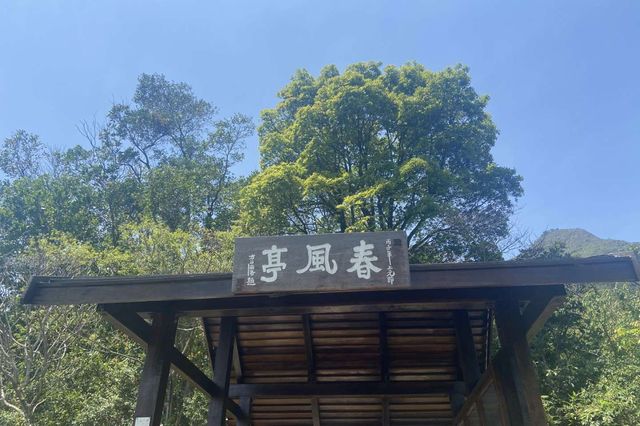 八仙嶺x黃嶺x屏風山．樓梯大挑戰