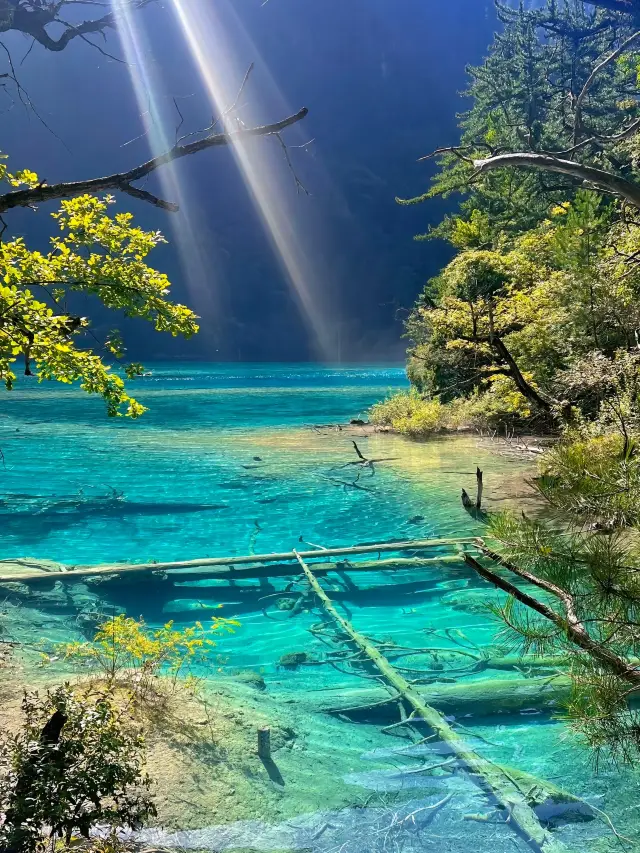 The most beautiful travel destination in western Sichuan, the most recommended nanny-level guide for Jiuzhaigou