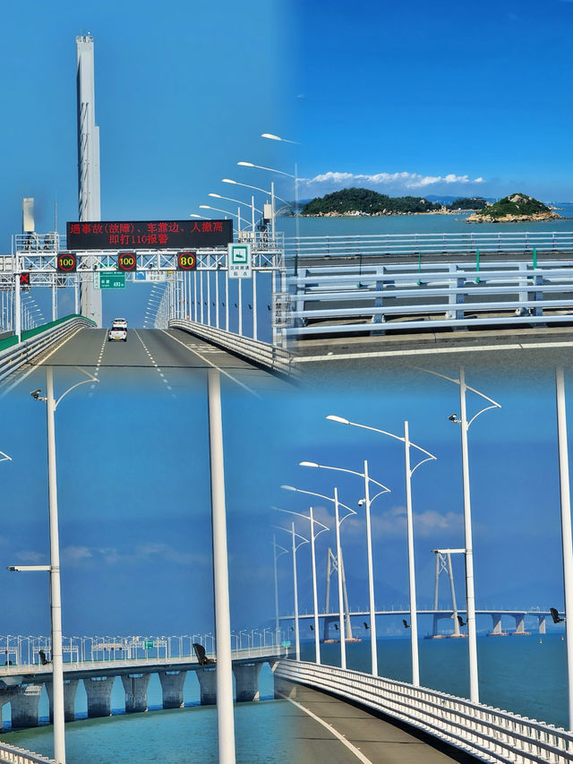 “橋”見港珠澳，邂逅藍海豚！