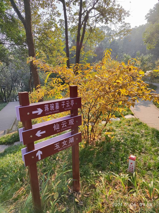 小寒節氣西山公園賞蠟梅