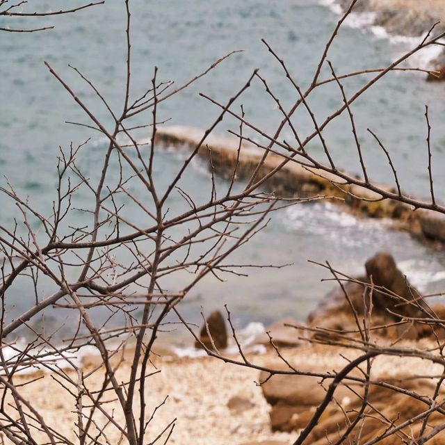 不可錯過的青島浪漫進行時『山東•青島八大關』