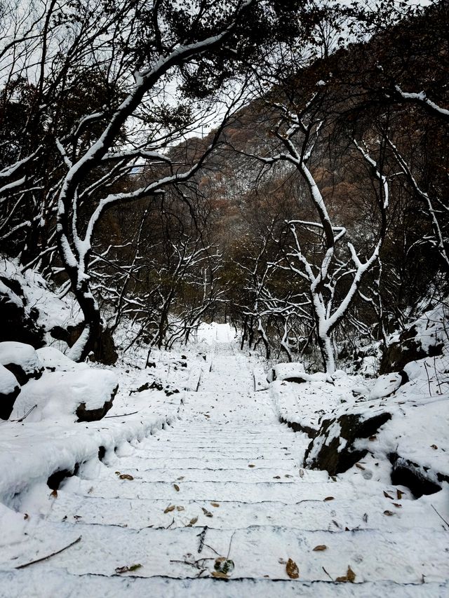 嵩山保姆級旅遊攻略建議點讚