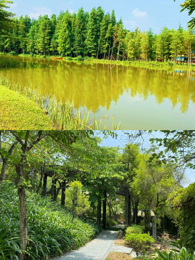 城區中的“綠寶石”-瀘江公園