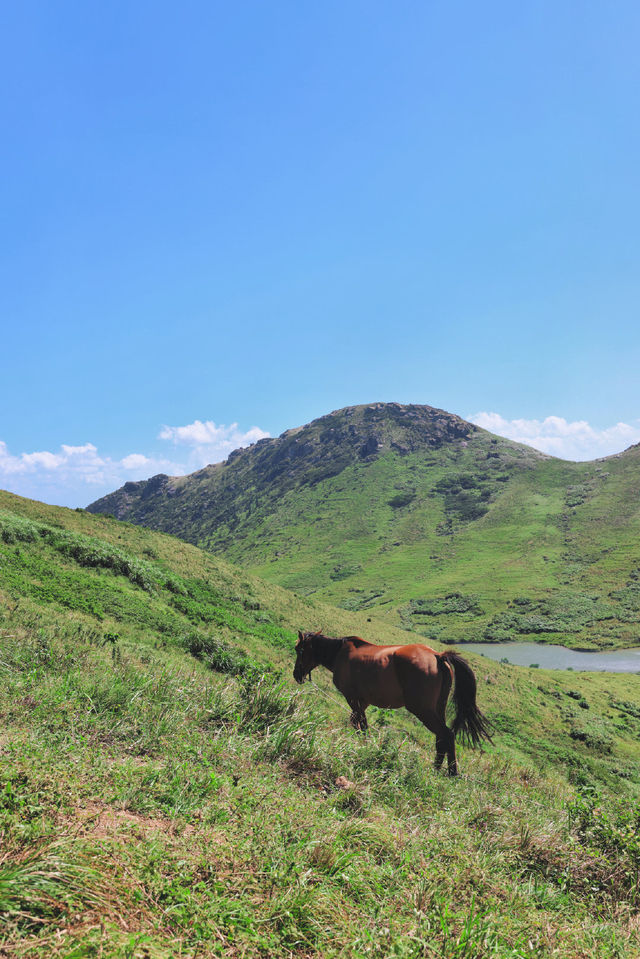 福建· 嵛山島｜中國最美十大海島之一