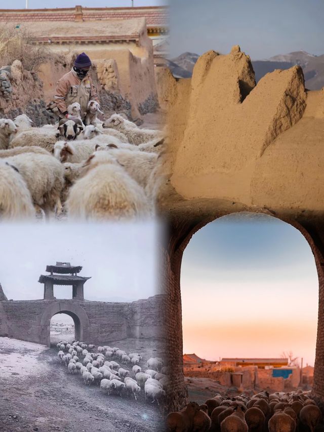 世界最後一座大漠龜城——永泰古城