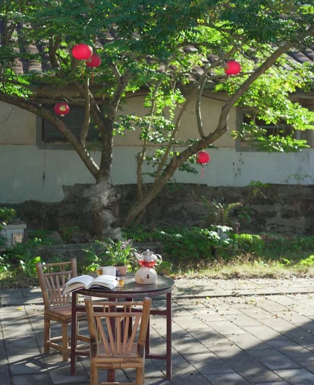 茶宿小院|溫茶正當時，日日是好日