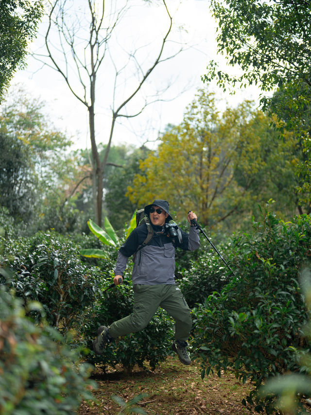 穿越千年古寨茶山的徒步之旅丨用腳步感受風和歷史的溫度