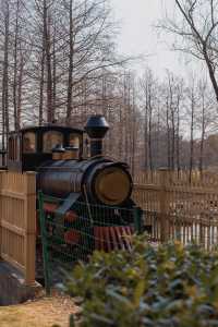 反向旅行,魔都春節也沒有人的寶山親子遊