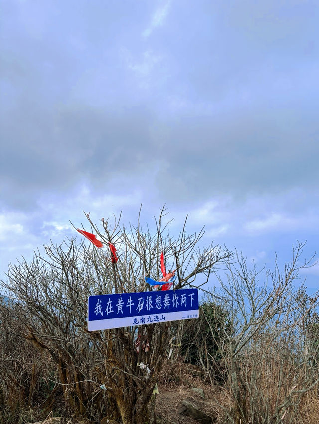 徒步九連山｜探索高山裡的秘密風景