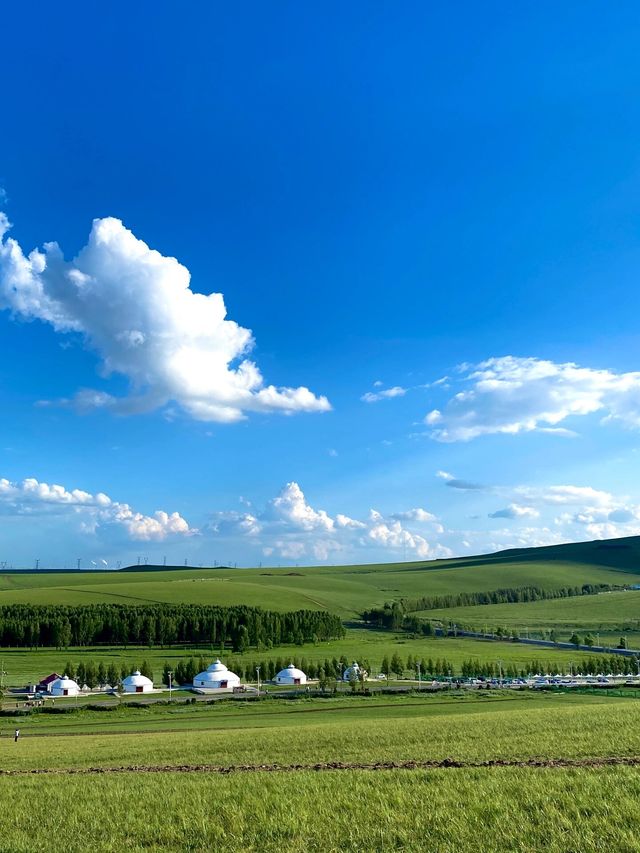 來通遼你不住這兒 你糊塗啊