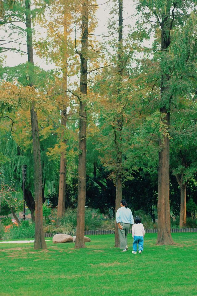 思賢公園·法式風情