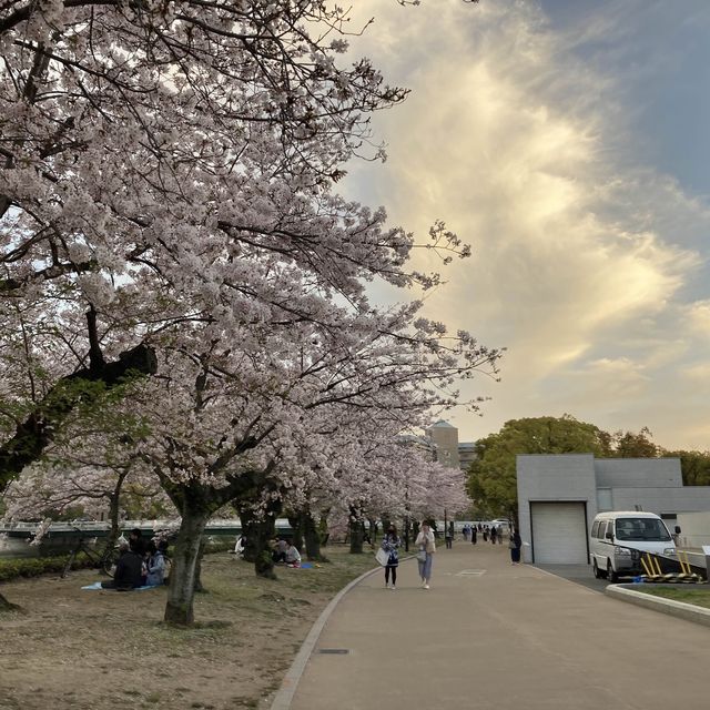 Hiroshima during Sakura 