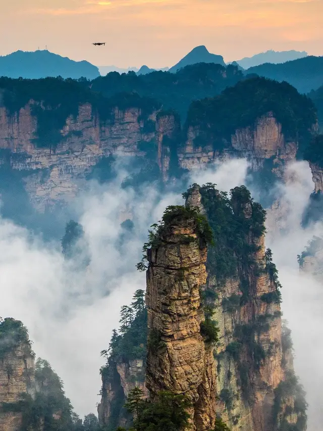 Come to Zhangjiajie this season to taste the unique flavors!