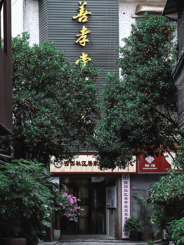 西園北里的遊玩推薦
