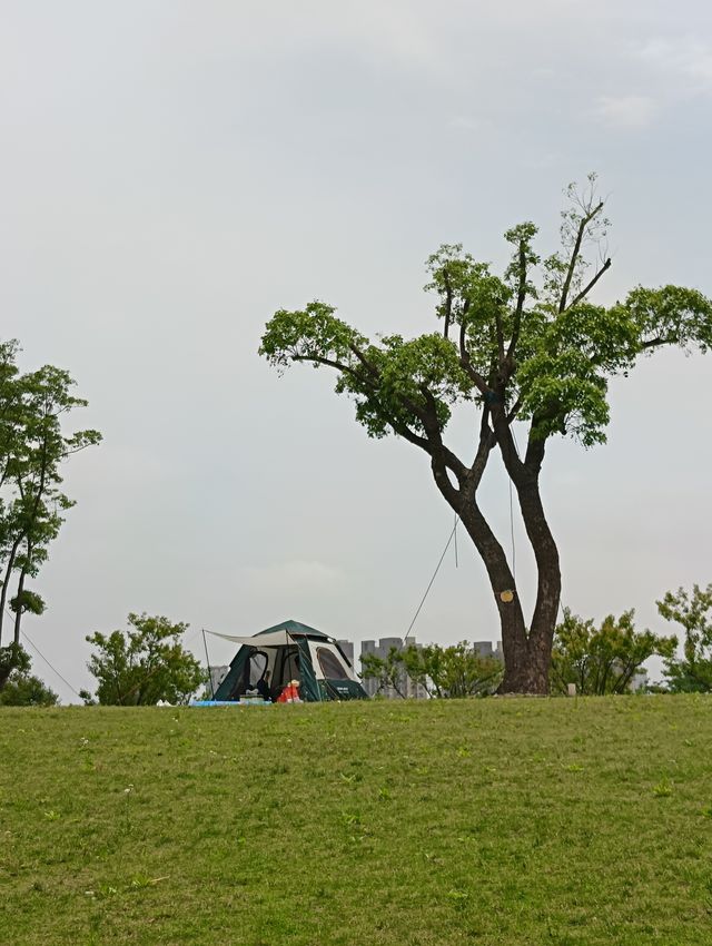 快來上海泡泡公園打卡啦~ 快來上海泡泡公園打卡啦~