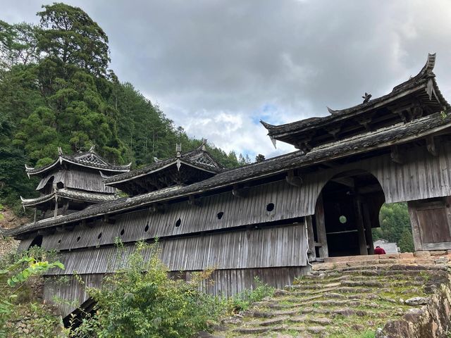 景美人少的地方嗎？——慶元月山村