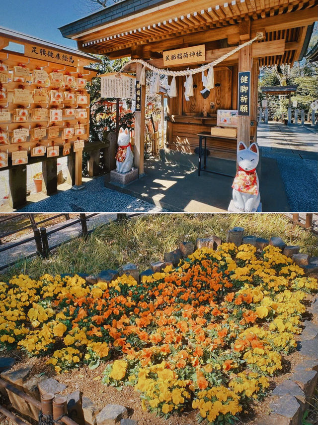 春遊日本｜看花賞景遊古蹟，探訪川越八幡宮