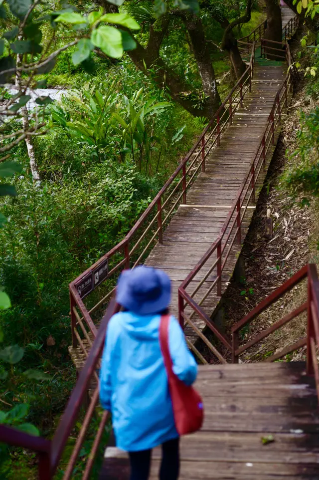 Wuzhishan Tropical Rainforest Park