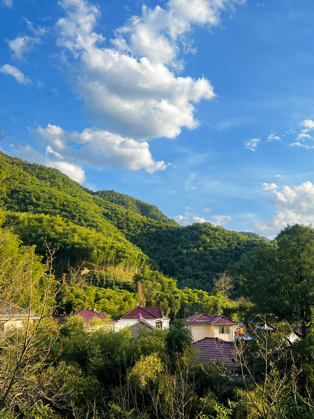 被山水環繞的養生之旅就來安吉溪兮民宿吧