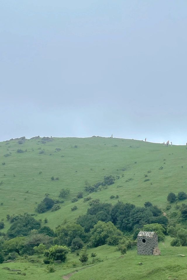 福清·大姆山草場｜被低估的平替版武功山