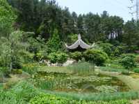 鮮花山谷——登高雲山·雲谷花境