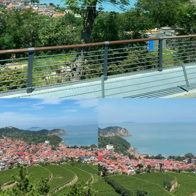 Oh my~ I'm dazzled by the beauty of this Qingdao seaside fishing village!!!