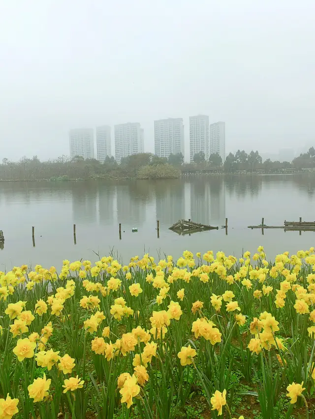 Wenzhou Qinghe Park, where rainbows lie upon the waves and meandering waters are surrounded by the chirping of birds and the fragrance of flowers