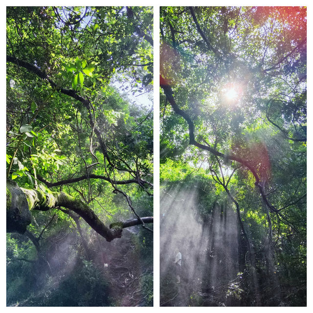 深圳老虎涧，山水間的隱藏版浪漫