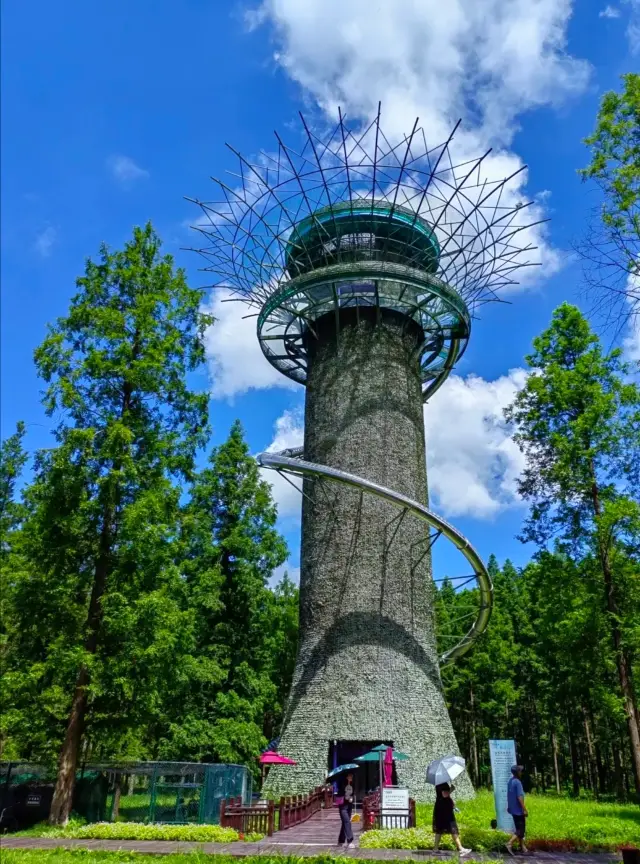 A true 'forest' breath, encounter Dongtai Yellow Sea Forest Park