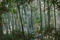 上海戶外徒步遛娃，誰說上海沒有山