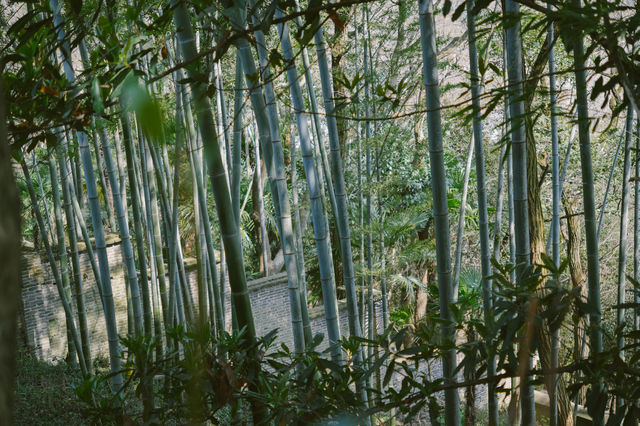 上海戶外徒步遛娃，誰說上海沒有山