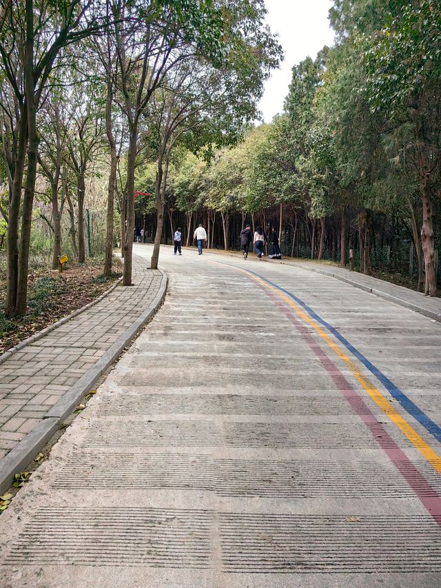 芒砀山大漢雄風景區