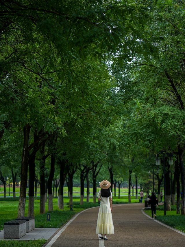 Emerald Wilderness within the Second Ring Road of Xi'an City🌿