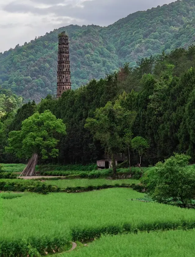 Lush and green Taizhou