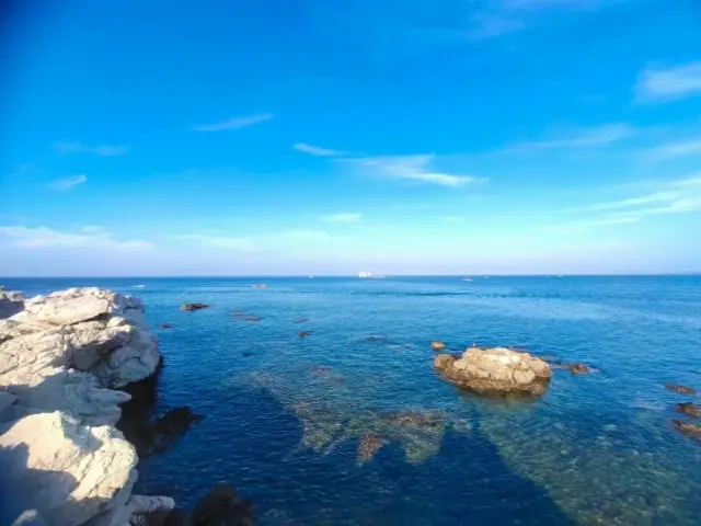 煙台 養馬島