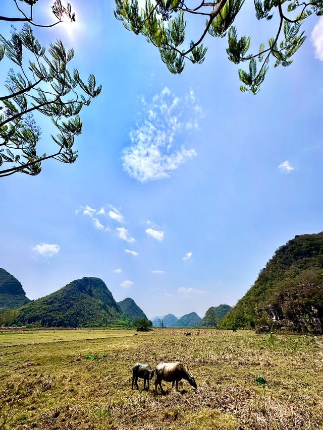 雲南普者黑遊記：探訪《三生三世十里桃花》的仙境之地