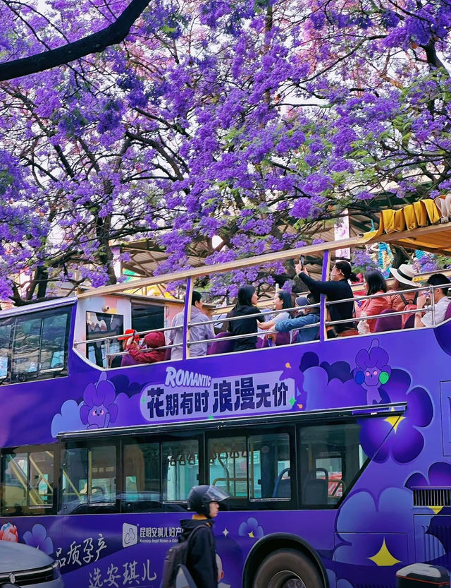 這個美到窒息的地方，真的不是濾鏡效果嗎？