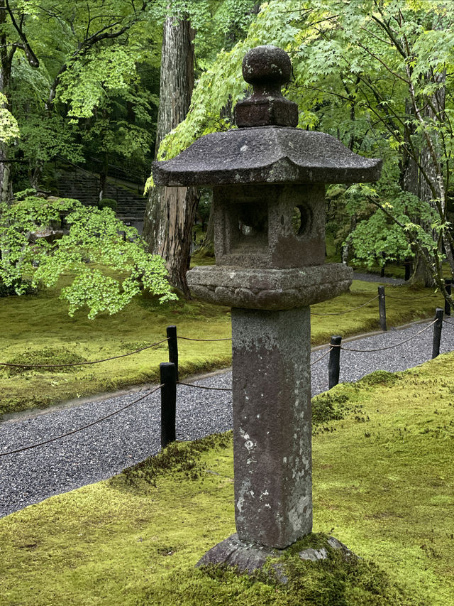 三千院 京都最值得來的地方 太美了