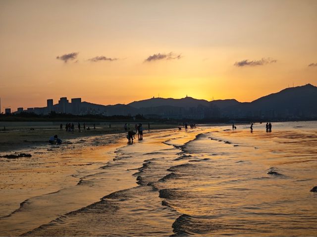 我發現了一個寶藏沿海城市-煙臺