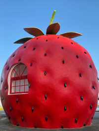 🍓長崎/フルーツバス停通り🍈