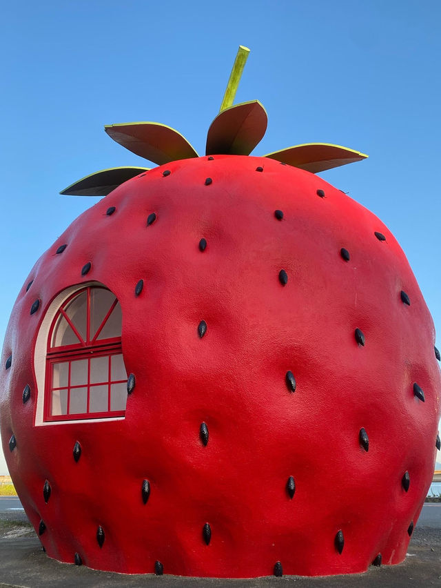 🍓長崎/フルーツバス停通り🍈